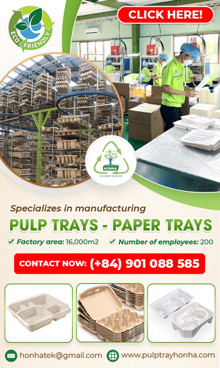 HONHA ECO PULP PACKAGE TECHNOLOGY VIET NAM COMPANY LIMITED