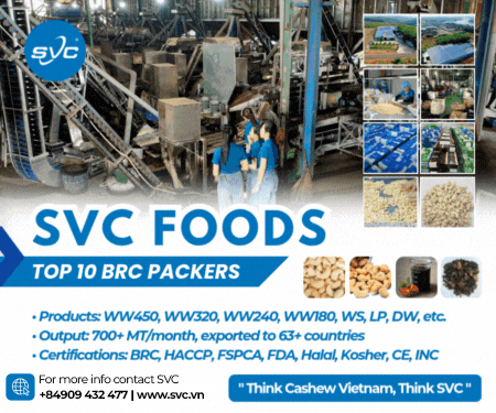 SVC INTERNATIONAL JOINT STOCK COMPANY