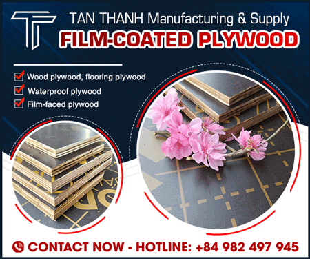 PLYWOOD TAN THANH LIMITED COMPANY