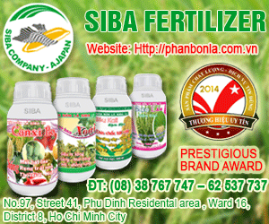 SIBA COMPANY LIMITED