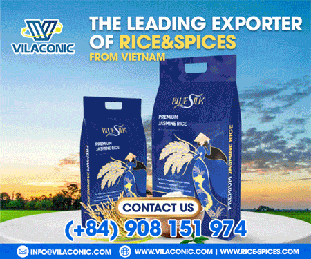 VILACONIC GROUP