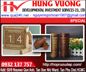 HUNG VUONG DEVELOPMENTAL INVESTMENT SERVICES CO., LTD