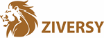 Ziversy Bag - Ziversy Company Limited