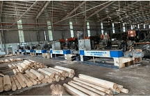 Binh Duong Finger Joint Wood - Binh Duong Forestry Business Joint Stock Company