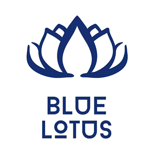 Blue Lotus Handicraft Manufacturers -  Blue Lotus Export Import Company Limited
