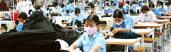 Textile & Garment