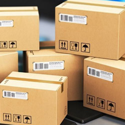 Vietnam packaging