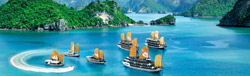 Tourism - Hotels & Restaurants
